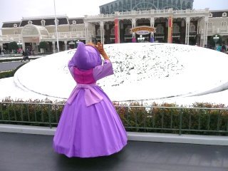 雪の花壇を見るパーラ