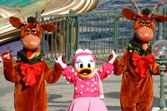 デイジーとトナカイ（ミート＆スマイル クリスマス）