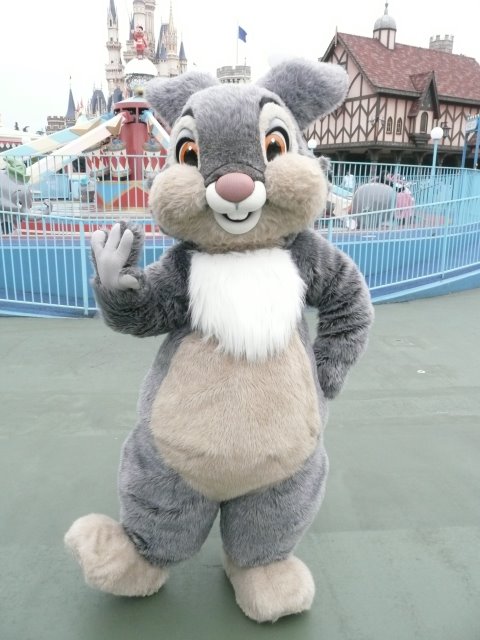 サンパー
