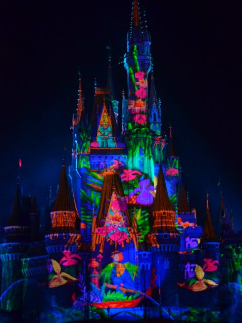 草花（ Celebrate! Tokyo Disneyland）