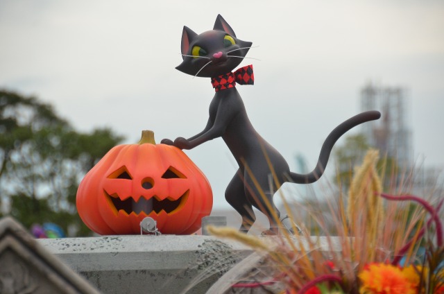 クロネコとカボチャのオブジェ（ディズニー・ハロウィーン 2019）