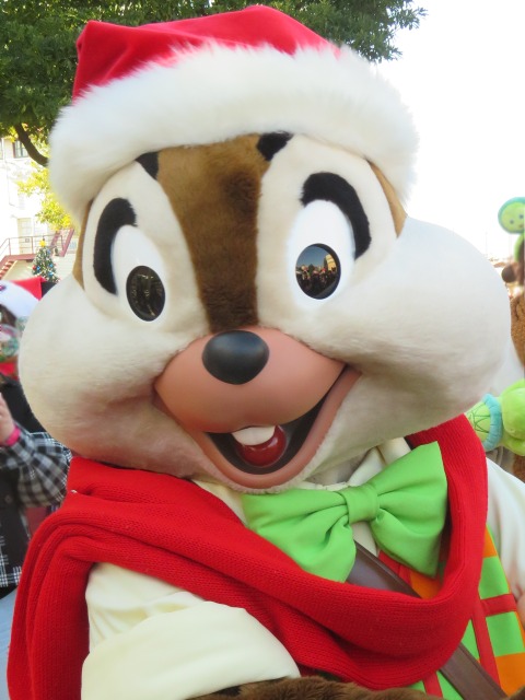 クリスマス衣装チップ（アメリカンウォーターフロント）