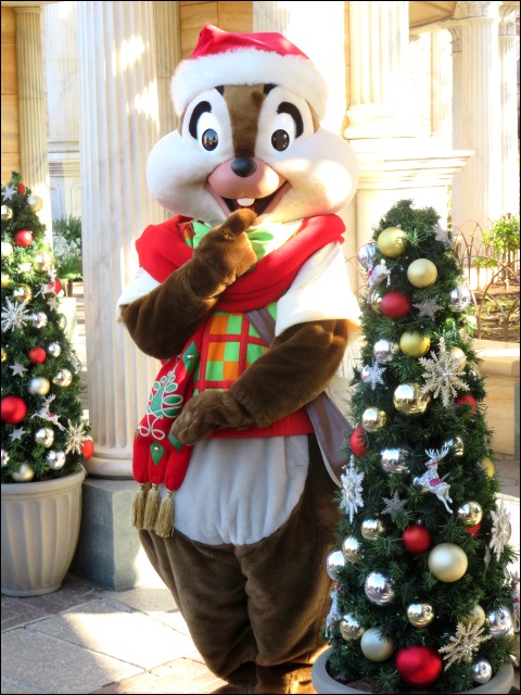 チップ（アメリカンウォーターフロント クリスマス）