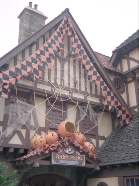 ベビーマインに大きな蜘蛛の巣（ハロウィーン 2002）