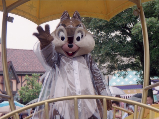 チップ（レイニーデイ・ドリームス）