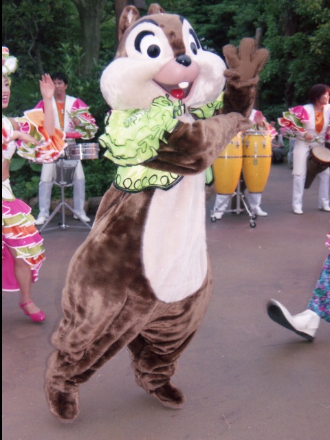 チップ（“フィエスタ・ノーチェ”ストリートパーティー）