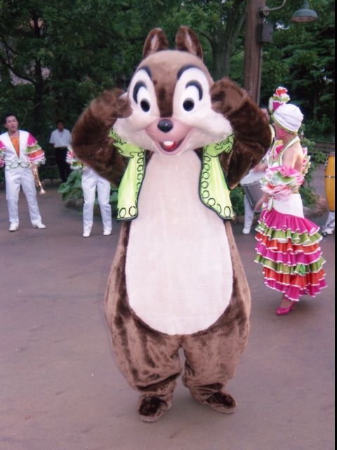 チップ（“フィエスタ・ノーチェ”ストリートパーティー）