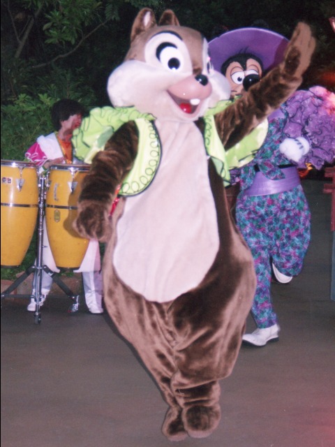 チップ（“フィエスタ・ノーチェ”ストリートパーティー）