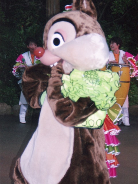 デール（“フィエスタ・ノーチェ”ストリートパーティー）