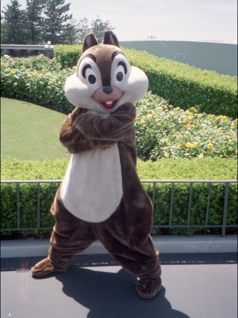 チップ（エントランス）