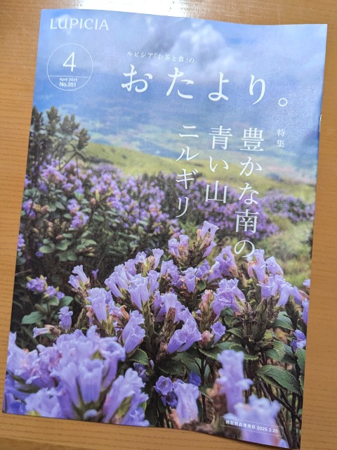 おたより。4月号（ルピシア）