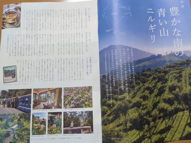 豊かな南の青い山ニルギリ（ルピシア）
