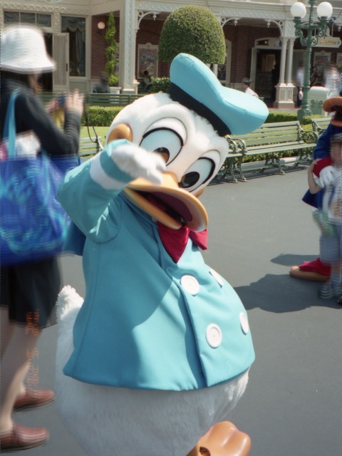 ドナルドダック（エントランス）
