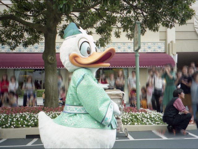 ドナルドダック（ディズニー・スターフェスティバル）