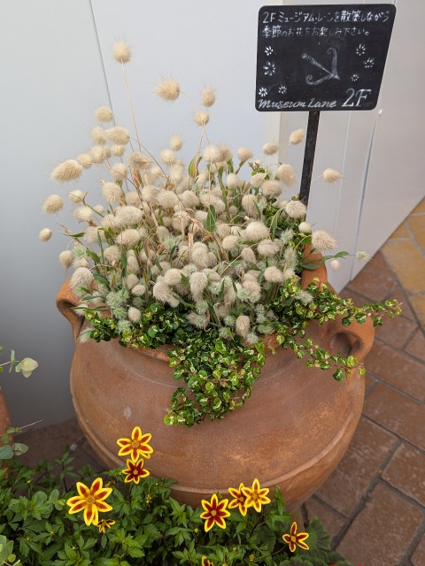 4Fの鉢植え（イクスピアリ）