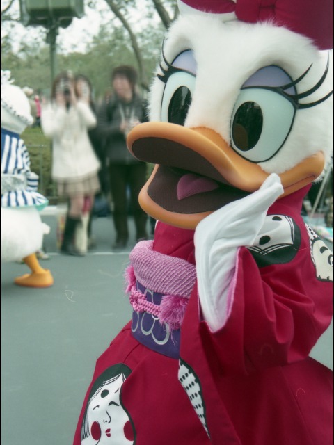 デイジーダック（ニューイヤーズ・ホリデー 2004）