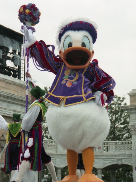 ドナルドダック（ディズニー・リズム・オブ・ワールド）