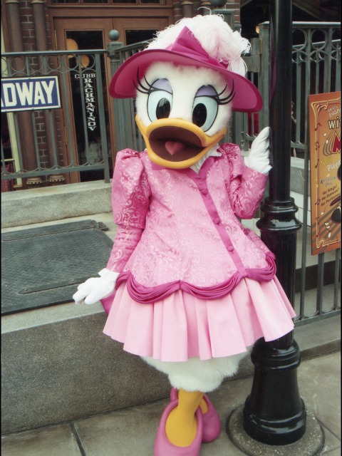 デイジーダック（アメリカンウォーターフロント）