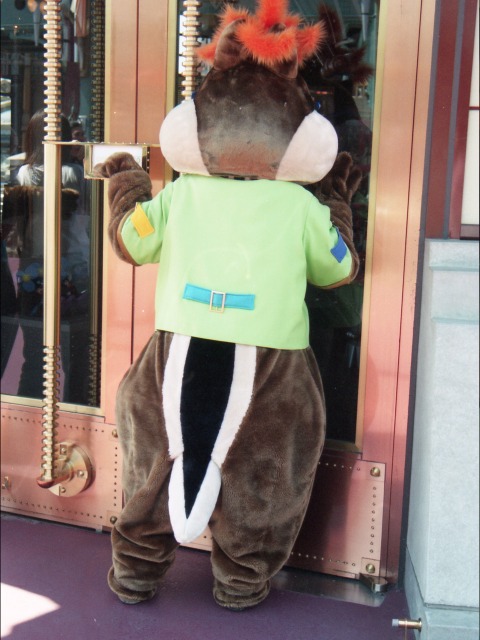 チップ（ポートディスカバリー）