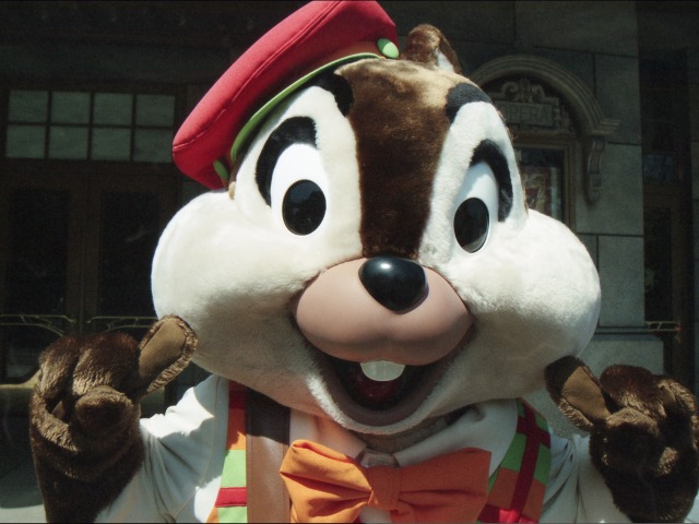 チップ（アメリカンウォーターフロント）