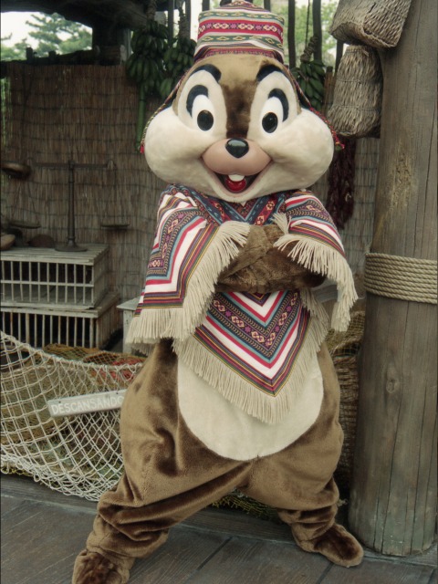 チップ（ロストリバーデルタ）