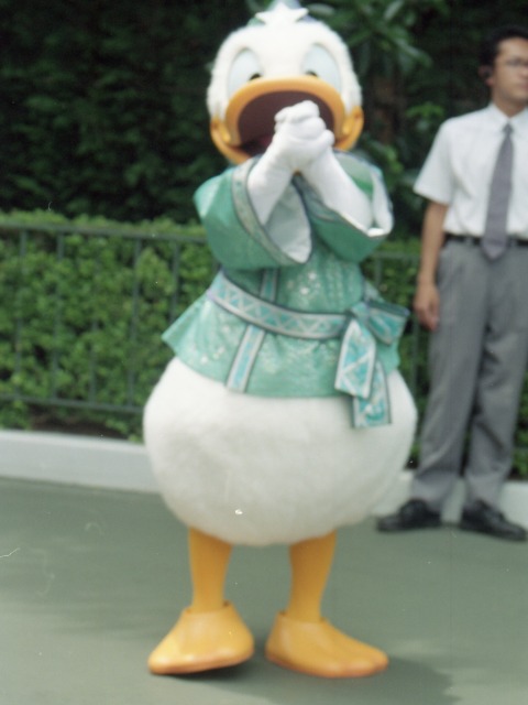 ドナルドダック（ディズニー・スターフェスティバル）