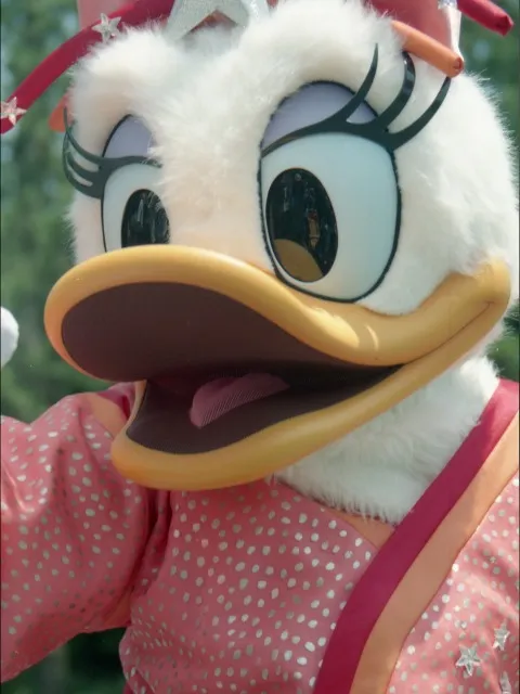 デイジーダック（ディズニー・スターフェスティバル）