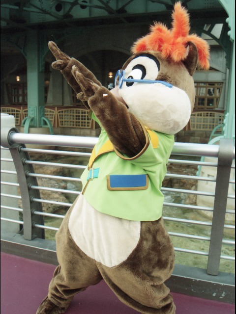 チップ（ポートディスカバリー）