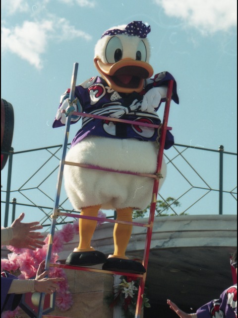 ドナルドダック（ニューヨーク“お正月”グリーティング）