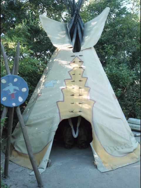 テントに入るデール（トムソーヤ島）