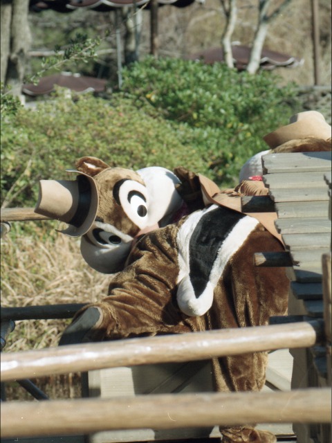 いかだのチップとデール(ウエスタンランド)