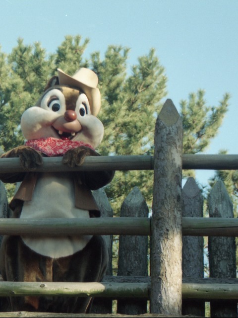 デール(ウエスタンランド)