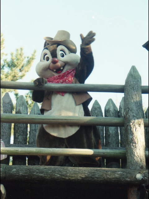 デール(ウエスタンランド)