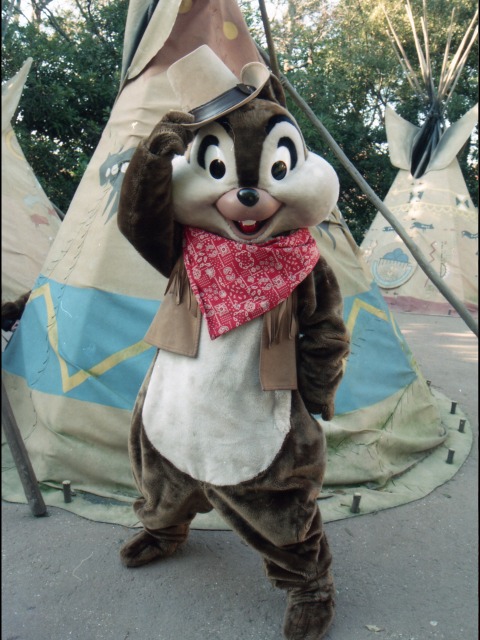 チップ(ウエスタンランド)