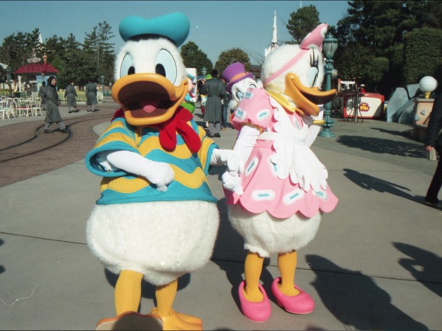 ドナルドとデイジー(トゥーンタウン)