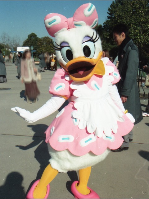 デイジーダック(トゥーンタウン)