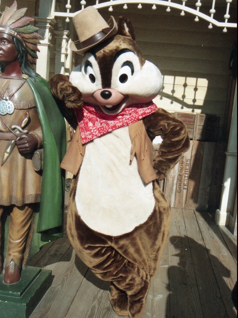 チップ(ウエスタンランド)