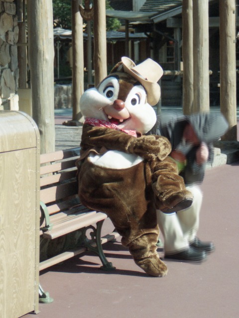 デール(ウエスタンランド)