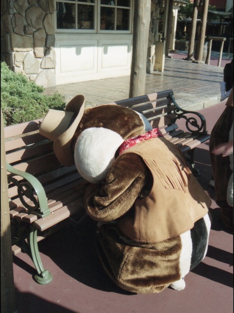 デール(ウエスタンランド)