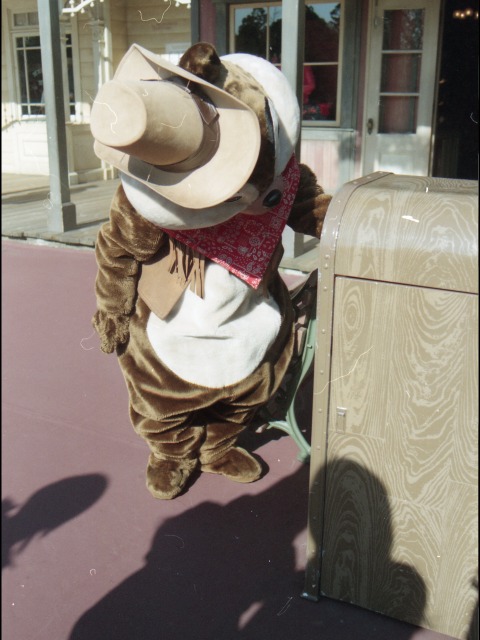 チップ(ウエスタンランド)