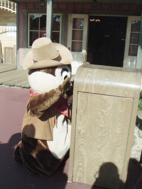 チップ(ウエスタンランド)