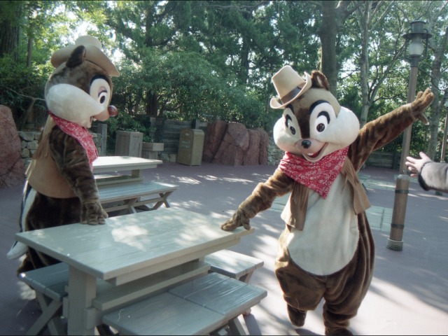 デールとチップ(ウエスタンランド)