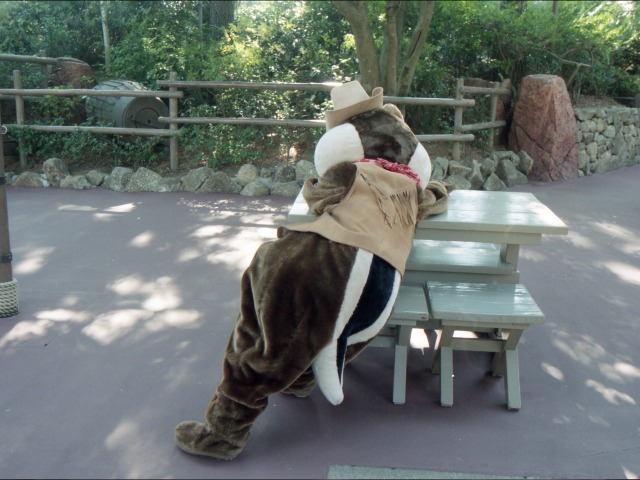 デール(ウエスタンランド)