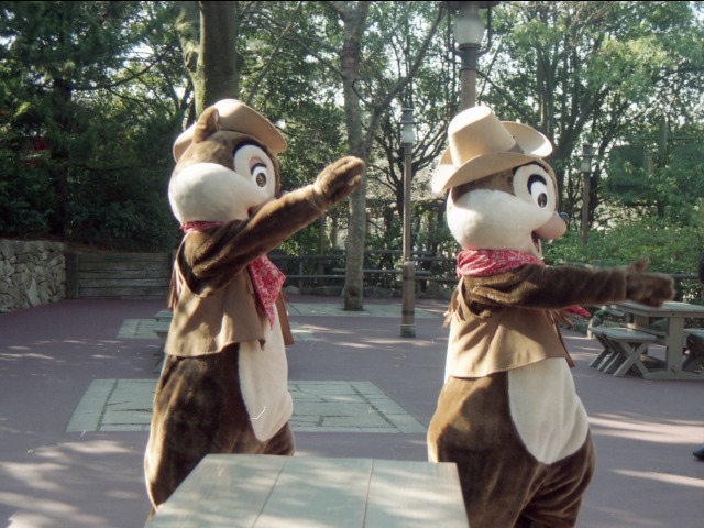 デールとチップ(ウエスタンランド)