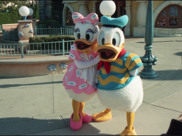 デイジーとドナルド(トゥーンタウン)