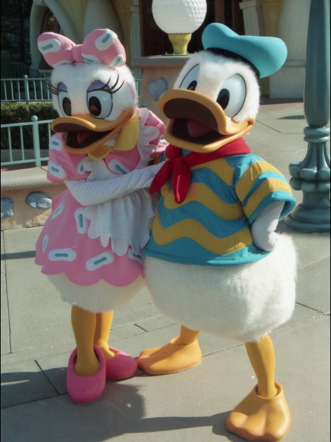 デイジーとドナルド(トゥーンタウン)