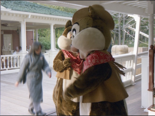 デールとチップ(蒸気船マークトウェイン号)