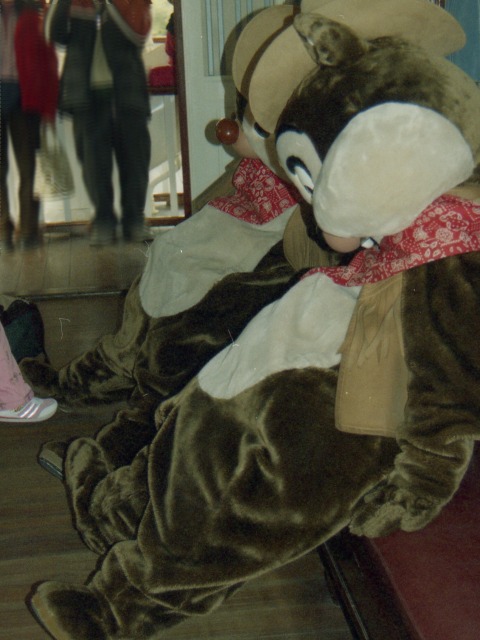 デールとチップ(蒸気船マークトウェイン号)