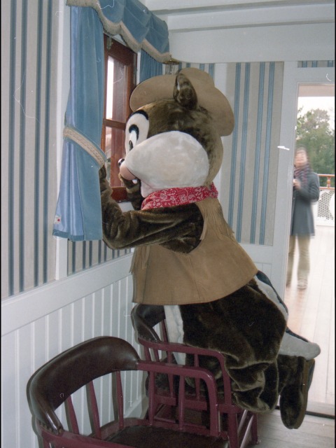 チップ(蒸気船マークトウェイン号)