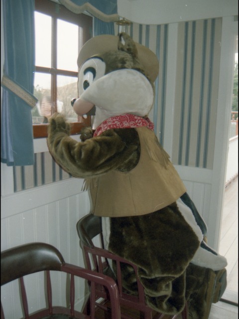 チップ(蒸気船マークトウェイン号)